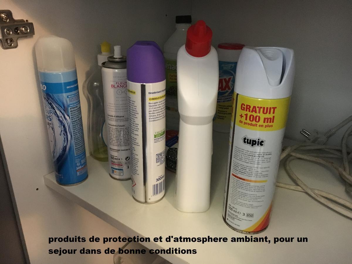 Appartement à pied dans l eau écolo 97434 à L'Ermitage-Les-Bains Extérieur photo